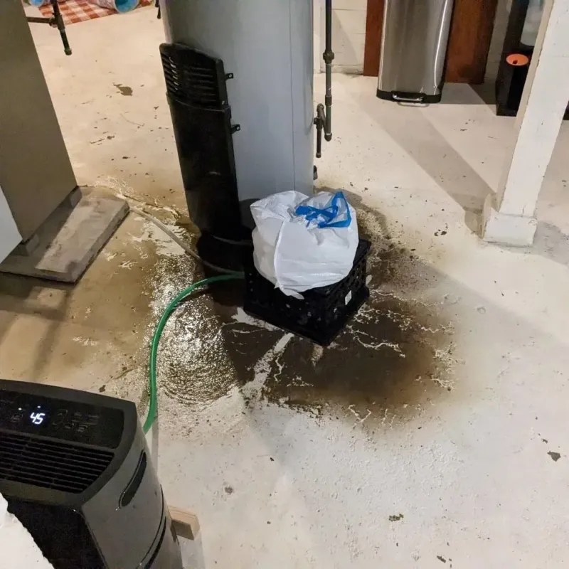 Sewage Backup Cleanup Service in Clay, PA